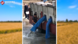 保護<em>長江</em>生態環境：政府投放四萬斤魚苗