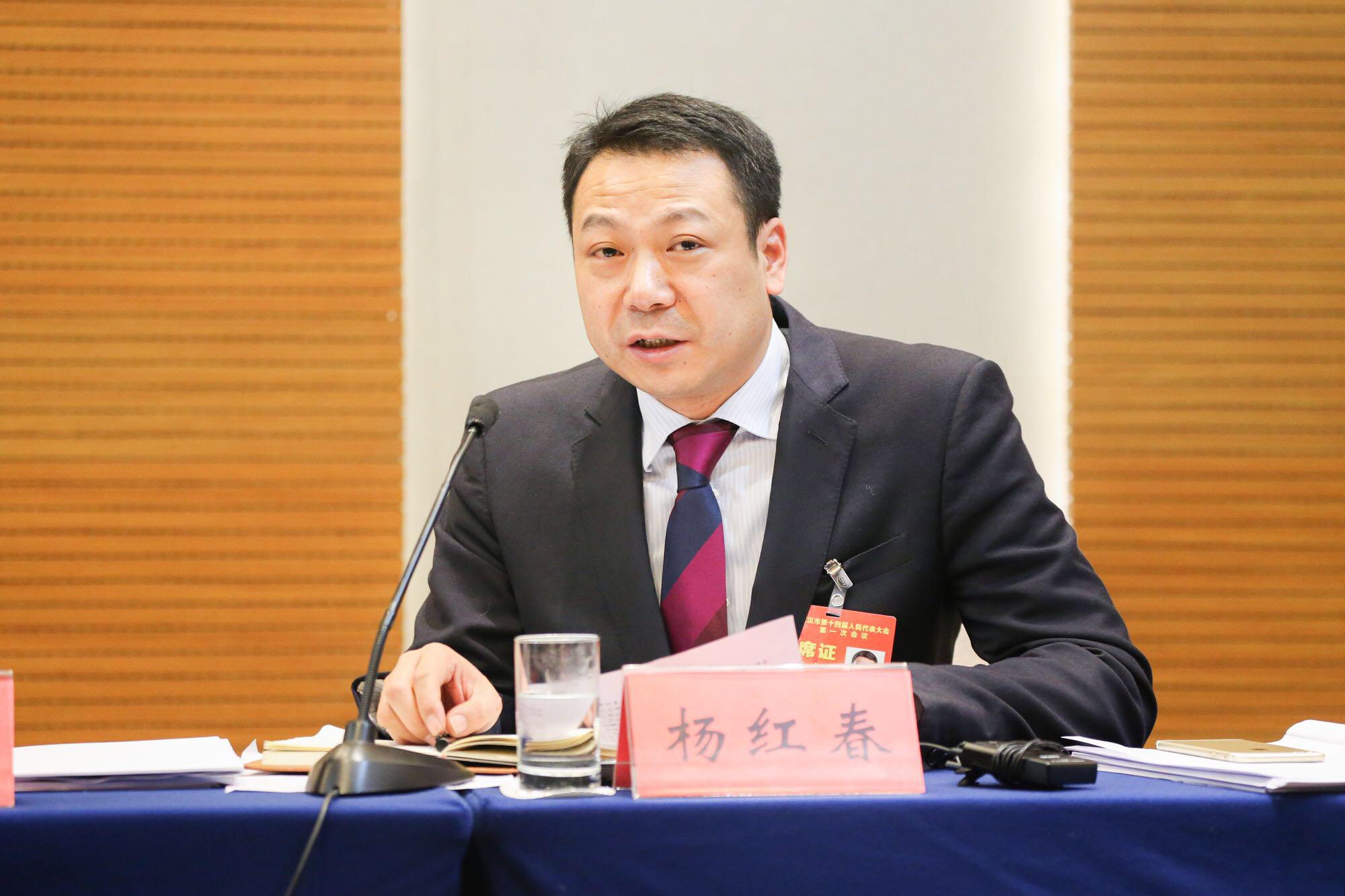 良品鋪子<em>創始人</em>楊紅春 從未放棄的<em>創業</em>夢