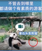 文明旅游 愛護和保護動物