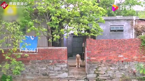 廣東一鄉村公廁獲世界景觀建筑獎：用舊磚瓦重建而成，這不只是一個廁所[并不簡單]