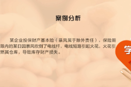 《近因原則—暴風(fēng)責(zé)任》近因<em>判斷</em>