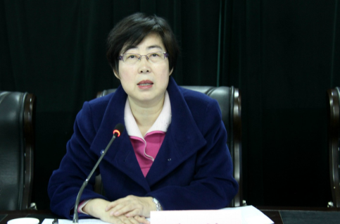 執掌估值750億美金的螞蟻<em>金</em>服女王——彭蕾