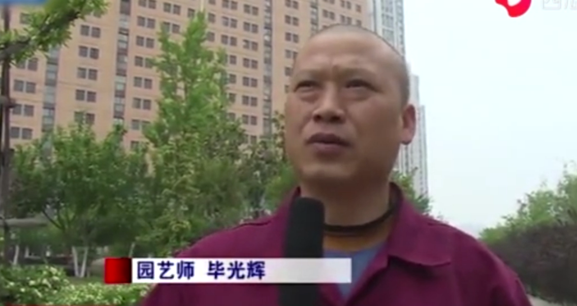 46歲園藝師畢光輝自學(xué)“剪刀手” 給綠植修剪<em>造型</em>