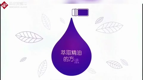 萃取精油的方法<em>有</em><em>哪些</em>呢？<em>你</em>不一定知道！
