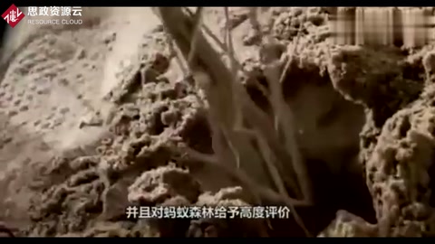 馬云的<em>支付</em>寶，推出螞蟻森林2年，投資2億，你種的樹多大<em>了</em>？