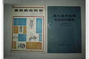 廢水生物<em>處理</em>微型動(dòng)物<em>圖</em>志