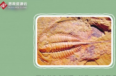 原來(lái)澄江生物群長(zhǎng)這樣