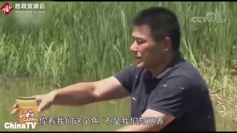 稻魚共生系統(tǒng)，魚和稻共同養(yǎng)殖，自然無公害兩者互利共贏