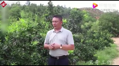<em>柑橘</em>黃龍病