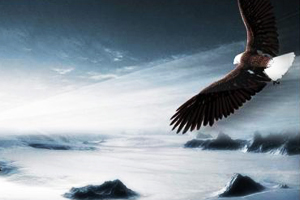 獨立創新能力