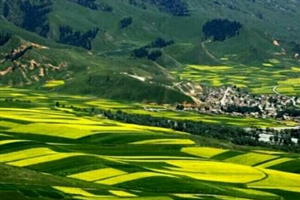 <em>環(huán)境</em><em>科學(xué)</em><em>專業(yè)</em>：《<em>環(huán)境</em>法律法規(guī)》<em>課程</em><em>思</em><em>政</em><em>課堂教學(xué)</em><em>設(shè)計(jì)</em>