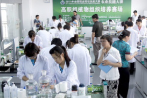 全國高職組植物組織培養技能大賽現場<em>裁判</em>