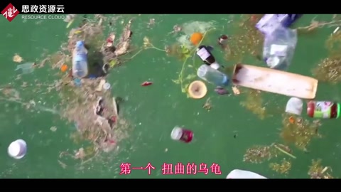 塑料對動物<em>的</em>危害這么大！