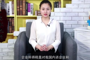 淺析企業(yè)所得稅