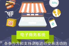 電子商務系統—商業智能的計算機網絡系統