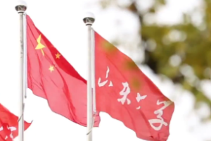 <em>微</em><em>課</em>：<em>漢語</em>言文學<em>專業</em>《現代<em>漢語</em>》