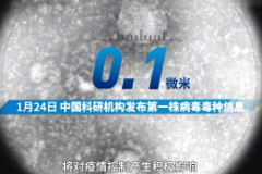 授課<em>視頻</em>：刻度上的中國<em>戰(zhàn)</em><em>疫</em>