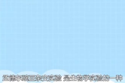 孟德爾豌豆雜交實(shí)驗(yàn)