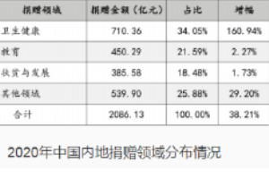 2020年中國內(nèi)地捐贈領(lǐng)域分布情況