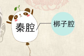 一分鐘了解<em>秦腔</em>
