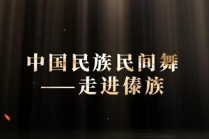 微課：早期教育、學前教育專業(yè)《舞蹈基礎—走進傣族民間舞之三道彎》
