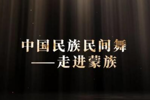 微課：早期教育、學前教育專業(yè)《舞蹈基礎—走進蒙族民間舞之柔臂》
