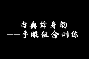 微課：早期教育、學(xué)前教育專(zhuān)業(yè)《舞蹈基礎(chǔ)—古典舞手眼組合》