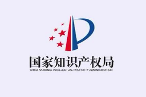 我與知識(shí)產(chǎn)權(quán)強(qiáng)國建設(shè)