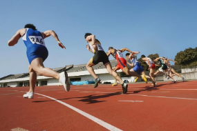 運動訓(xùn)練—<em>田徑</em>（<em>圖</em><em>2</em>）