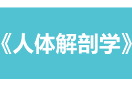 <em>課件</em>：康復治療學、<em>護理</em>學、<em>助產</em>學<em>專業</em>《人體解剖學》