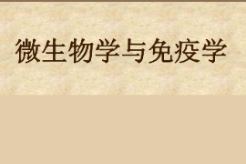 課件：園林、中草藥栽培與鑒定、環(huán)境生態(tài)工程，食品質(zhì)量與安全，生物制藥、生物技術(shù)、健康服務(wù)與管理專(zhuān)業(yè)《微生物學(xué)—微生物學(xué)與免疫學(xué)—緒論》