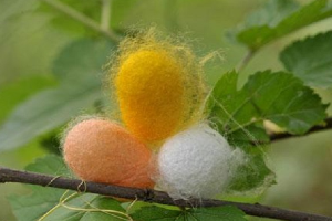 蠶桑生產<em>與</em>經營專業：《養蠶學—生物的成長—養蠶》<em>課程</em><em>思</em><em>政</em><em>課堂教學</em><em>設計</em>