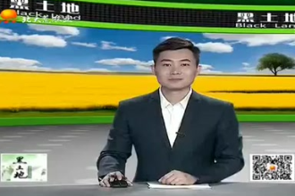 生豬養(yǎng)殖<em>需要</em><em>注意</em><em>的</em>要點都有<em>哪些</em>？這幾個方面很重要