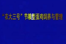 “農(nóng)大三號(hào)”節(jié)糧型<em>蛋雞</em><em>飼養(yǎng)</em>與<em>管理</em>