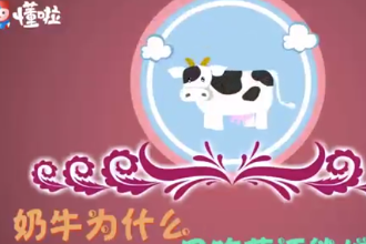 奶牛為什么只<em>吃草</em>還能增肌呢？