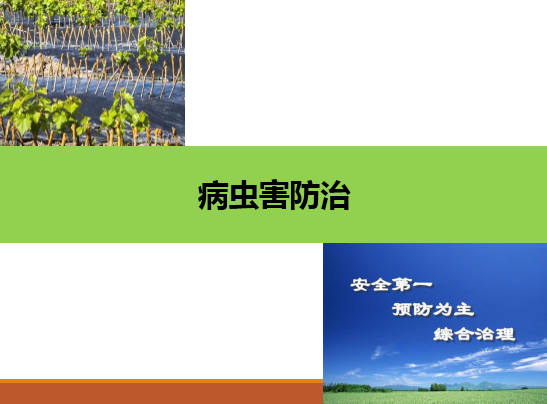 <em>園藝</em><em>技術(shù)</em><em>專業(yè)</em>：《<em>果樹</em>生產(chǎn)創(chuàng)新模塊-—病蟲害防治》<em>課程</em><em>思</em><em>政</em><em>課堂教學(xué)</em><em>設(shè)計(jì)</em>