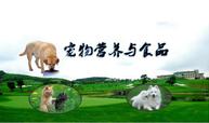 <em>微</em><em>課</em>：寵物養(yǎng)護<em>與</em>馴導<em>專業(yè)</em>《寵物<em>營養(yǎng)</em><em>與</em><em>食品</em>》