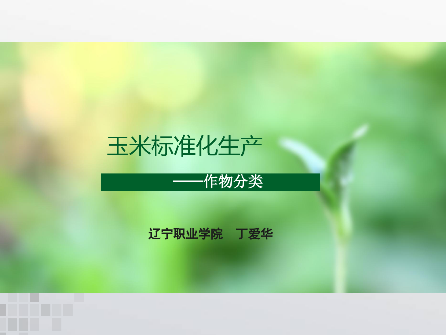 課件：作物生產(chǎn)與經(jīng)營管理專業(yè)《玉米標準化生產(chǎn)—作物分類》