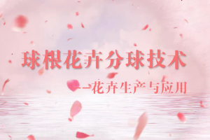 <em>微</em><em>課</em>：<em>園林</em><em>技術(shù)</em><em>專業(yè)</em>《<em>園林</em><em>花卉</em>—球根<em>花卉</em>分球<em>技術(shù)</em>》