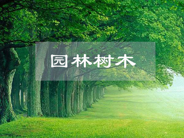 <em>園林</em><em>工程技術</em>、<em>園林</em>技術<em>專業(yè)</em>：《<em>園林</em><em>樹木</em>》<em>課程</em><em>思</em><em>政</em><em>課堂教學</em><em>設計</em>