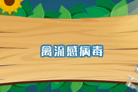 一分鐘了解禽流感<em>病毒</em>