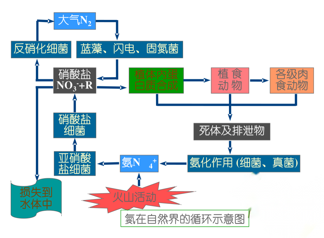 <em>氮</em>在自然界的<em>循環(huán)</em>示意圖