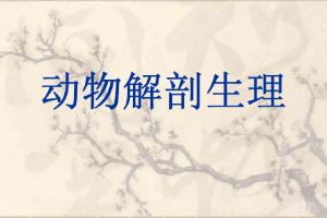 <em>課件</em>：中獸醫專業《<em>動物</em>解剖生理—<em>動物</em>體的基本<em>結構</em>》
