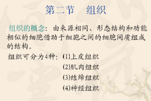<em>課件</em>：中獸醫專業《<em>動物</em>解剖生理—組織》