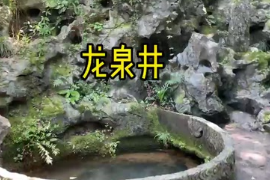 杭州西湖鳳篁嶺有一龍井泉，古老又神秘，被人們譽為天下第三泉