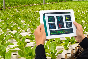 <em>課程標準</em>：綠色生物制造<em>技術</em>專業《植物組織培養》<em>課程標準</em>