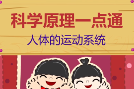 人體<em>的</em>運動系統