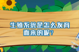 生殖系統(tǒng)<em>是</em>怎么發(fā)育而來<em>的</em><em>呢</em>？