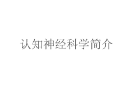 課件：認知科學與技術(shù)專業(yè)《認知神經(jīng)科學》