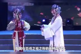 我國有百戲之祖之稱的劇種是什么？